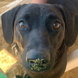 Meet your Posher, Joann